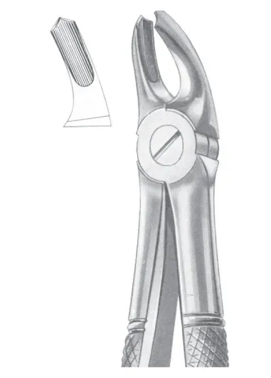 Fig. 39A upper molars for children 